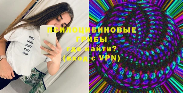 ECSTASY Богданович
