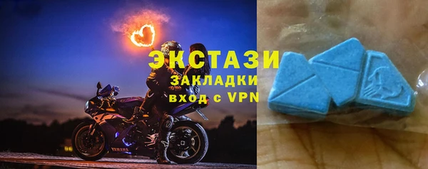 ECSTASY Богданович