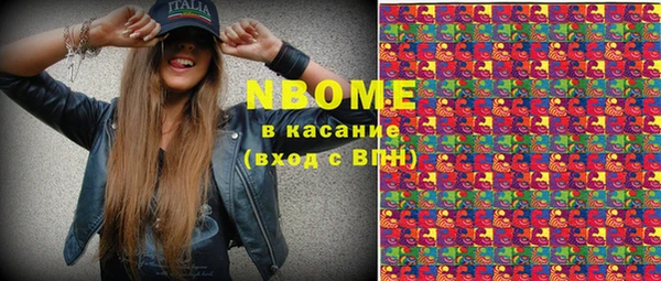 ECSTASY Богданович