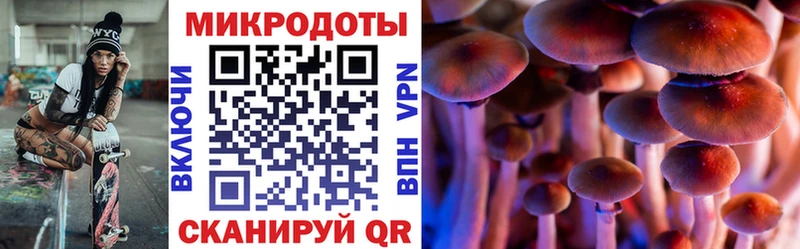 Псилоцибиновые грибы Cubensis  Болотное 